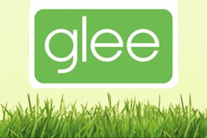 glee globasolve